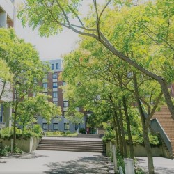 オープンキャンパスを探す_九州国際大学