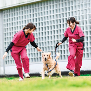 帝京平成大学のオープンキャンパス