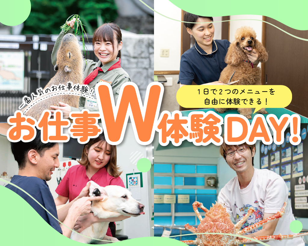 名古屋ＥＣＯ動物海洋専門学校のオープンキャンパス