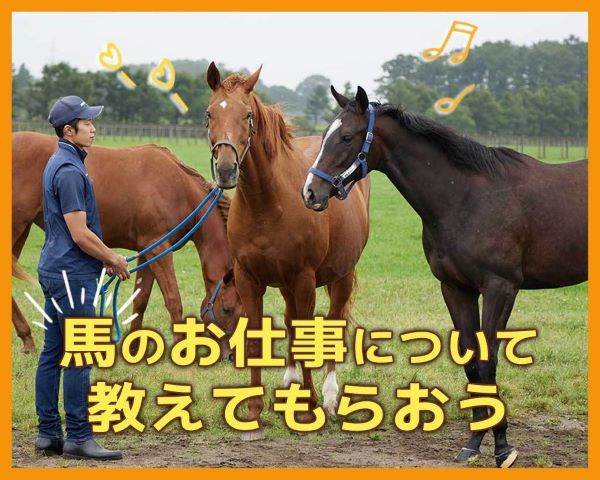 ＴＣＡ東京ＥＣＯ動物海洋専門学校のオープンキャンパス