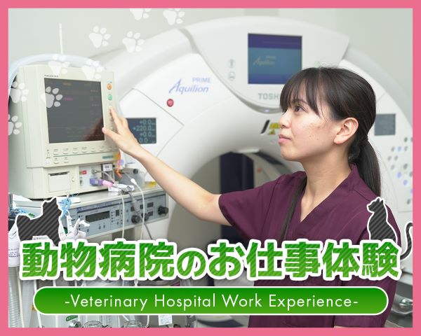 ＴＣＡ東京ＥＣＯ動物海洋専門学校のオープンキャンパス