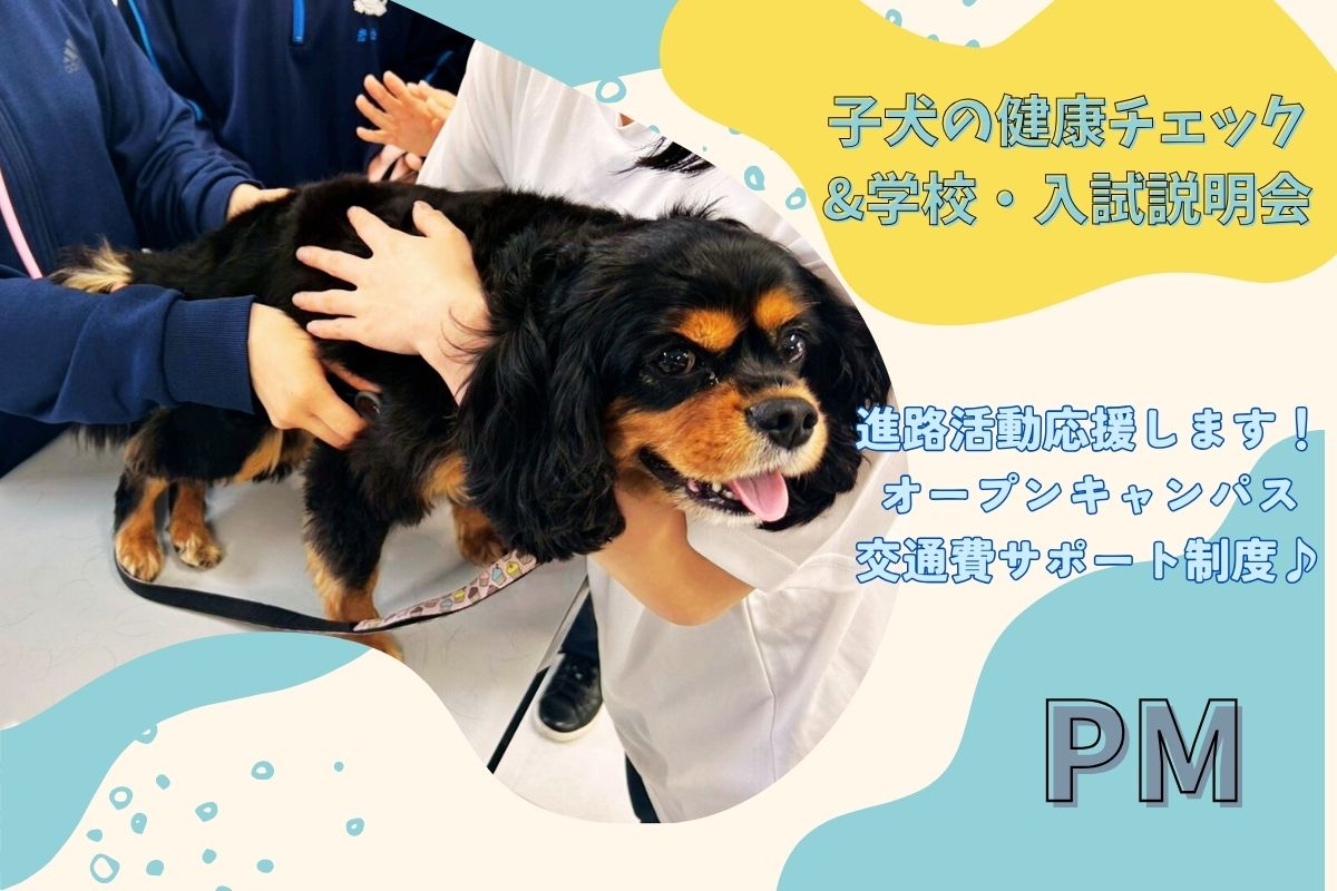 横浜動物専門学校のcampusgallery