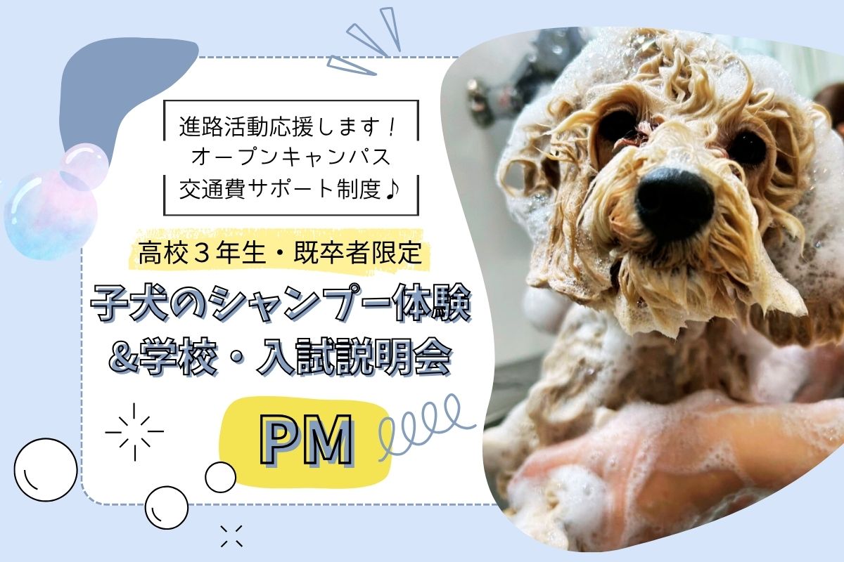 横浜動物専門学校のcampusgallery