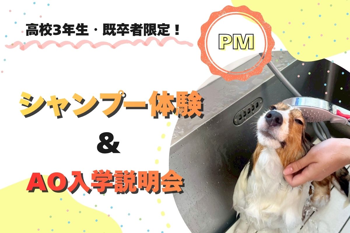 横浜動物専門学校のオープンキャンパス