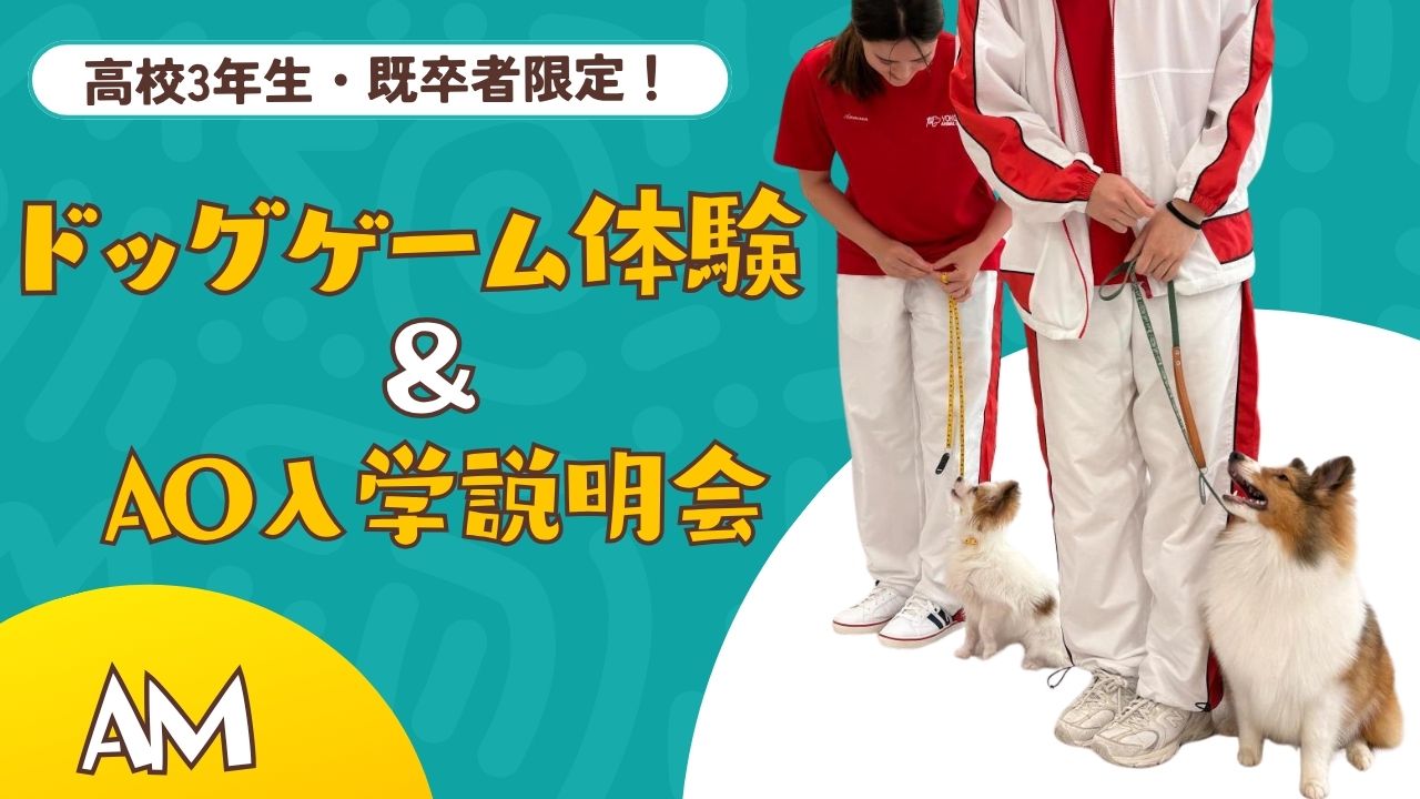 横浜動物専門学校のcampusgallery