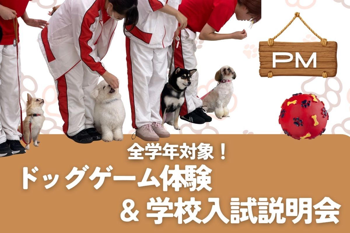 横浜動物専門学校のオープンキャンパス