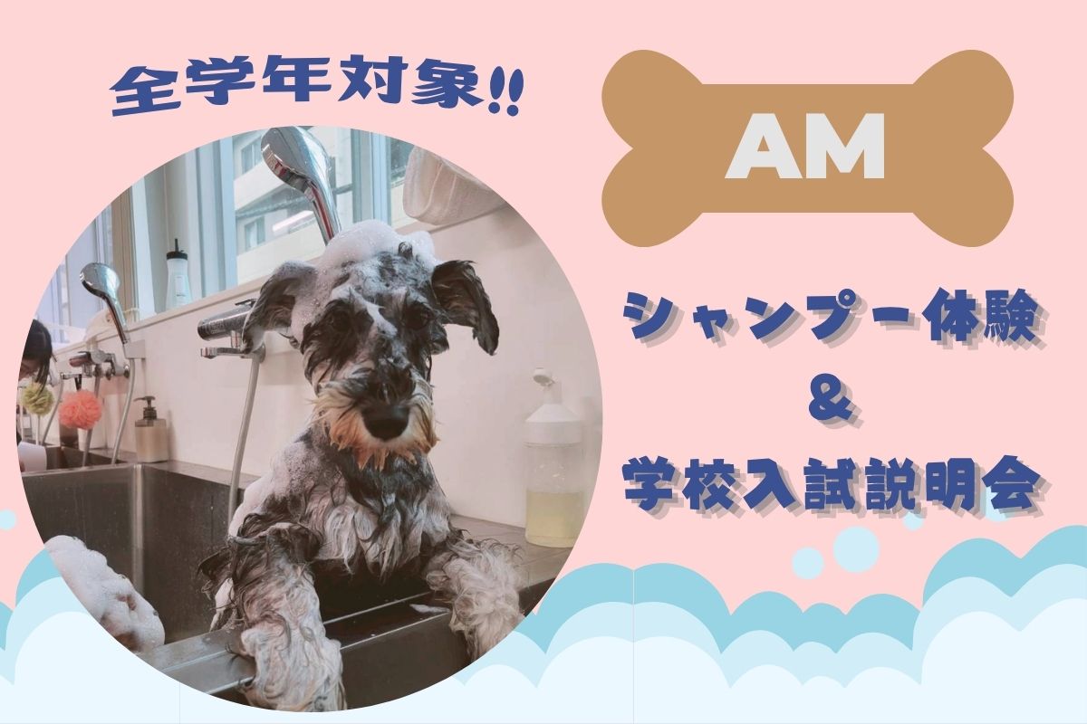 横浜動物専門学校のオープンキャンパス