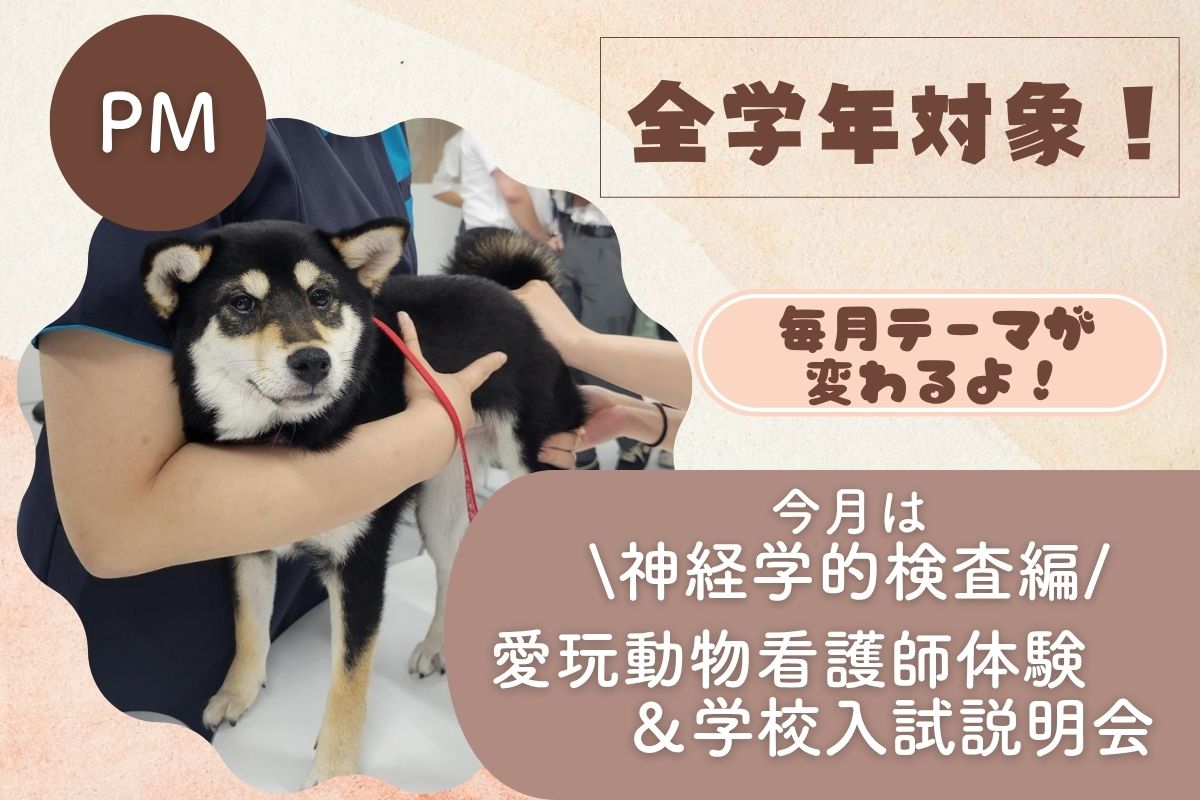 横浜動物専門学校のcampusgallery