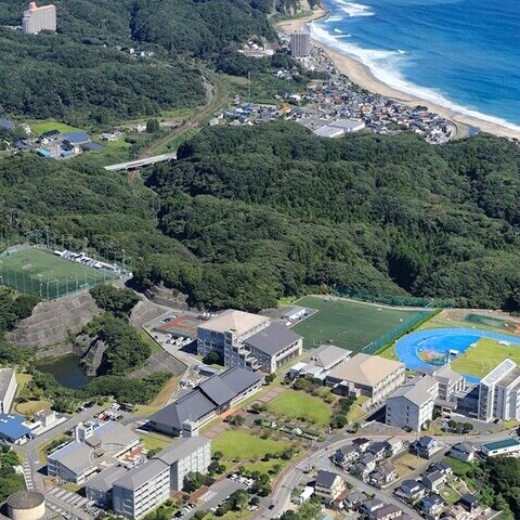 国際武道大学