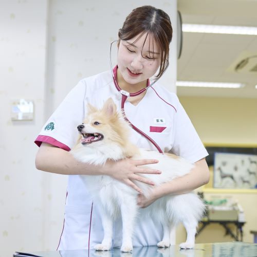 大宮国際動物専門学校