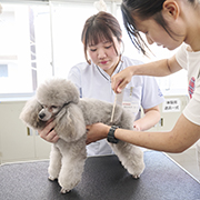 中央動物専門学校のcampusgallery
