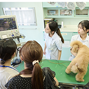 中央動物専門学校のcampusgallery