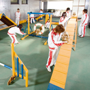 専門学校日本動物２１のオープンキャンパス