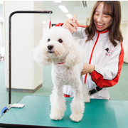 大阪動物専門学校のオープンキャンパス