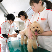 大阪動物専門学校のオープンキャンパス