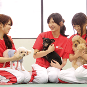 大阪動物専門学校のオープンキャンパス