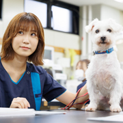 横浜動物専門学校のオープンキャンパス