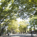 東海大学