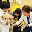 ヤマザキ動物看護専門職短期大学