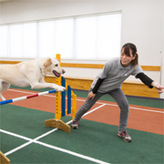 福岡ＥＣＯ動物海洋専門学校のcampusgallery