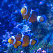 福岡ＥＣＯ動物海洋専門学校のcampusgallery