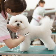 福岡ＥＣＯ動物海洋専門学校のcampusgallery
