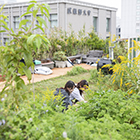 研究・授業内容写真