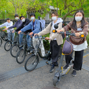 地域の課題解決を実践的に学ぶ「実践演習」
