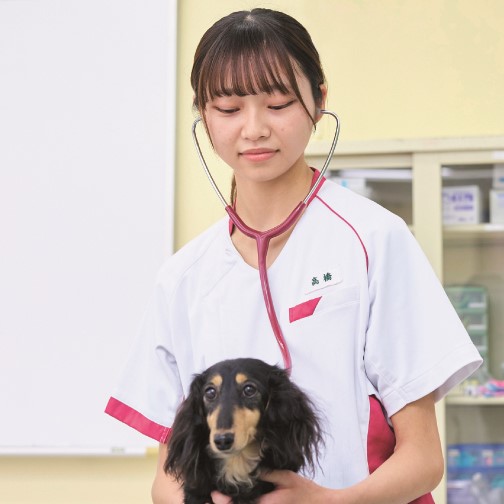 国際動物専門学校