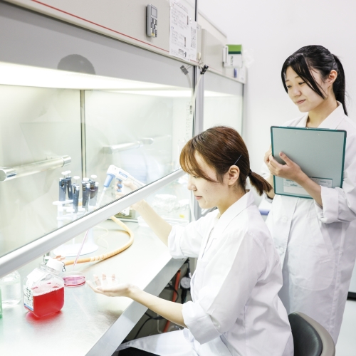 国際医療福祉大学