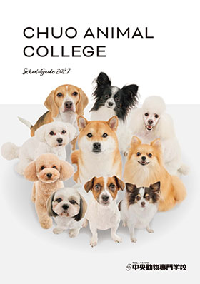 中央動物専門学校