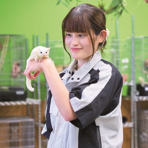 国際動物専門学校