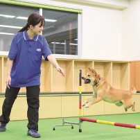 国際動物専門学校