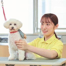 国際動物専門学校