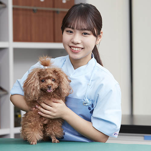 ヤマザキ動物専門学校