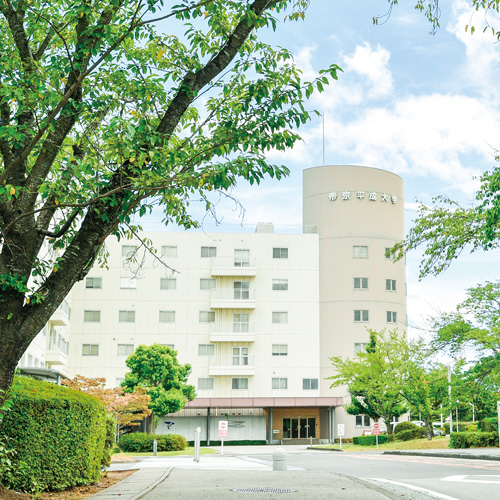 帝京平成大学