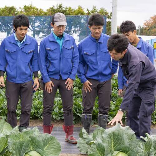 タキイ研究農場付属園芸専門学校