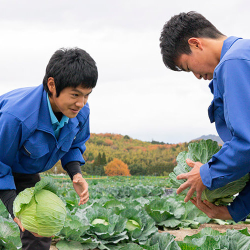 タキイ研究農場付属園芸専門学校
