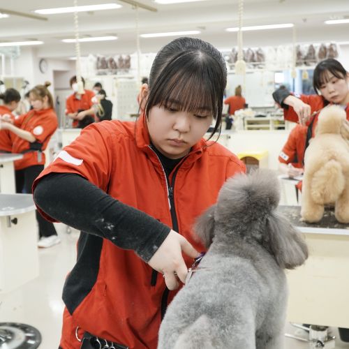 広島情報ビジネス専門学校