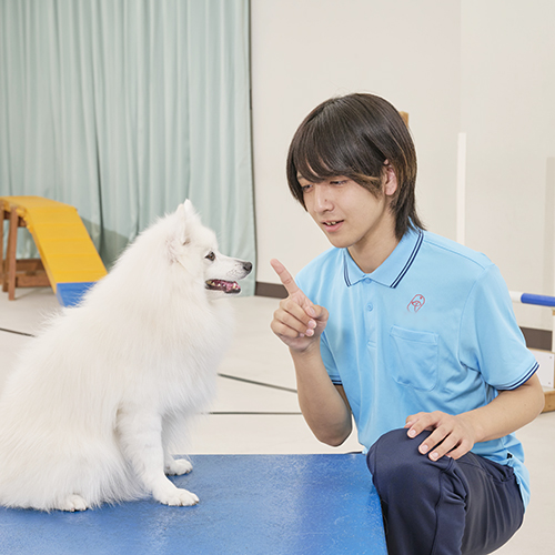 中央動物専門学校4