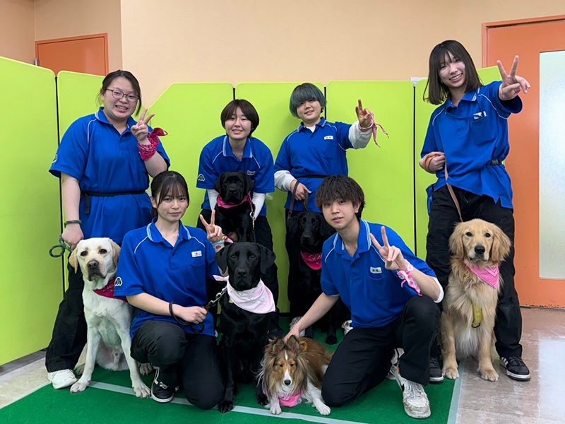 国際動物専門学校