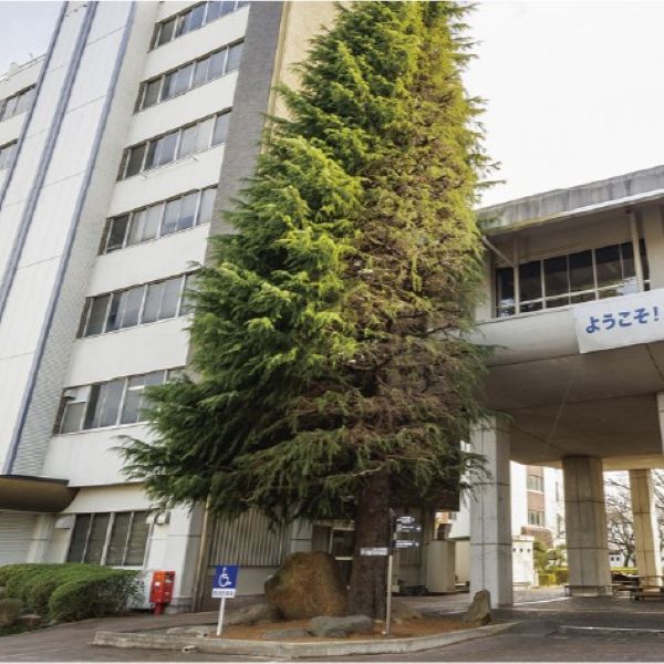 足利大学