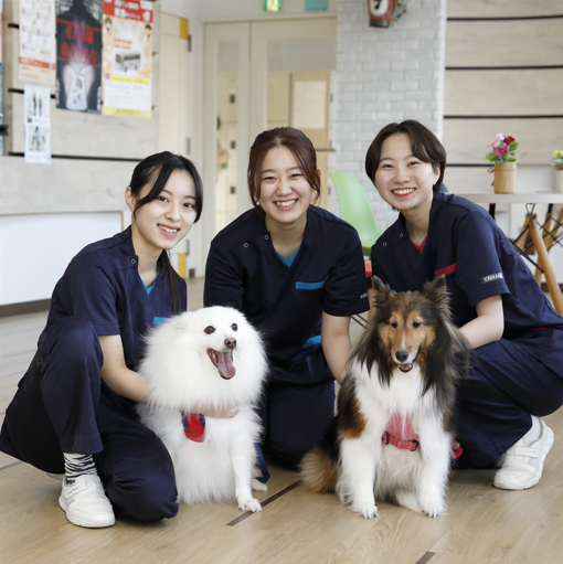 来て、見て、感じて、楽しく体験！オープンキャンパス／吉田学園動物看護専門学校