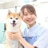 ヤマザキ動物看護大学のオープンキャンパス詳細