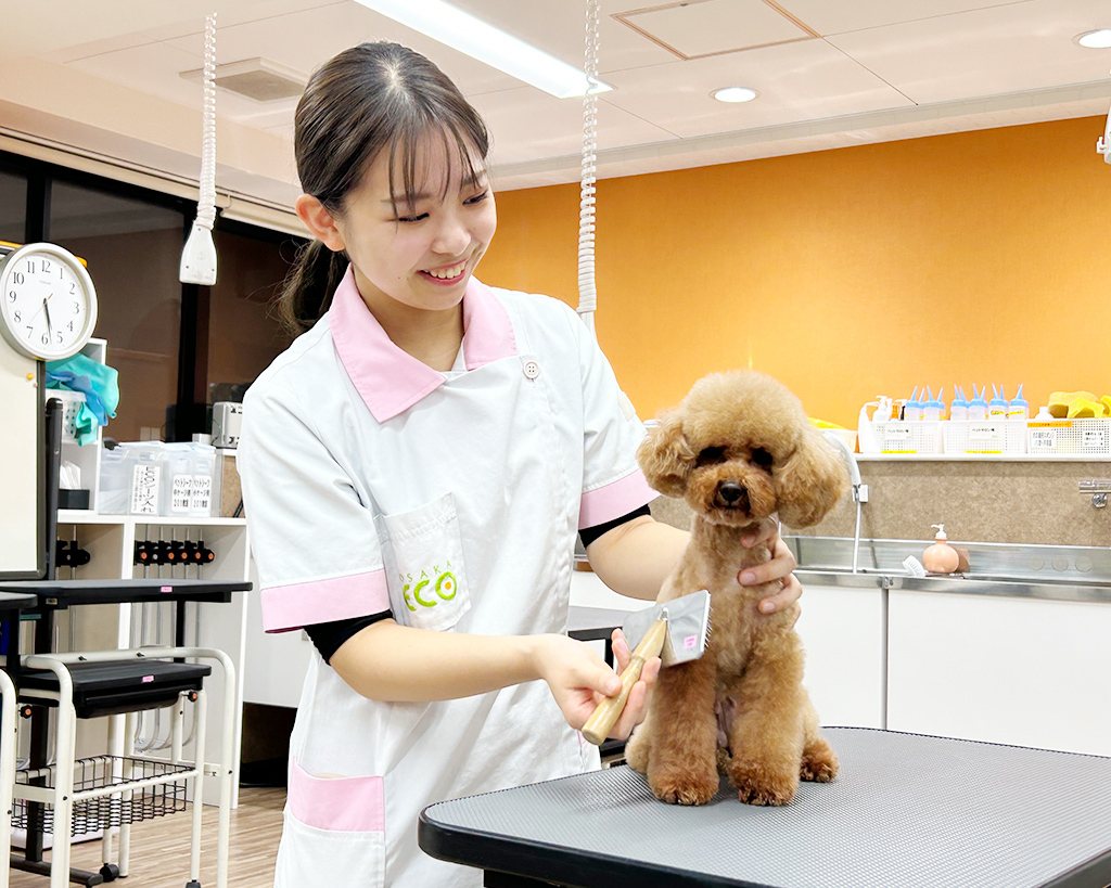 大阪ＥＣＯ動物海洋専門学校