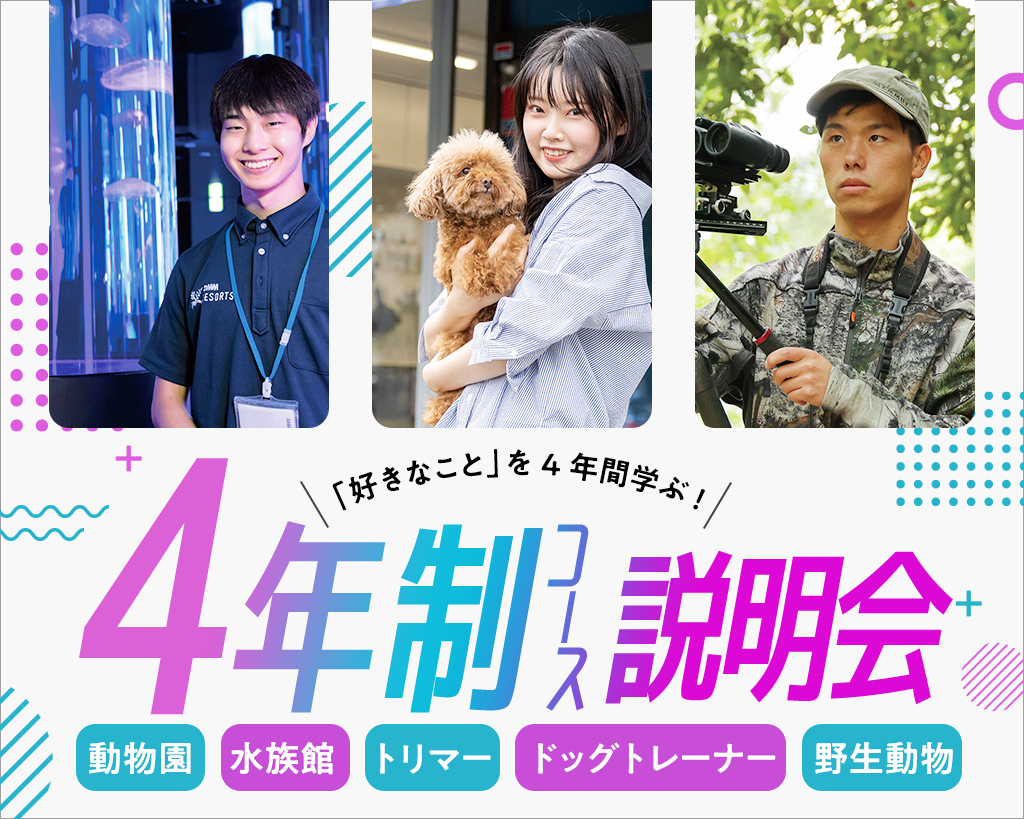 4年制コースの説明会／大阪ＥＣＯ動物海洋専門学校