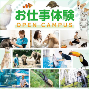仙台ＥＣＯ動物海洋専門学校