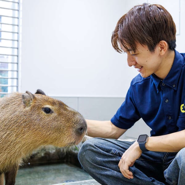 体験メニュー
（動物園・動物飼育）／名古屋ＥＣＯ動物海洋専門学校