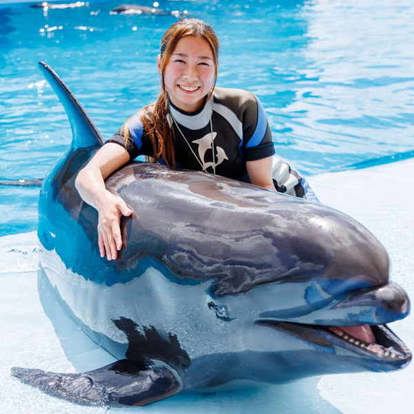 体験メニュー
（ドルフィントレーナー）／名古屋ＥＣＯ動物海洋専門学校