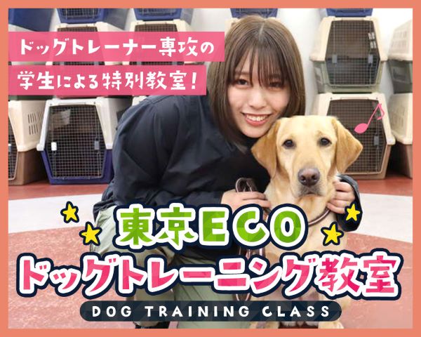 東京ECOドッグトレーナー専攻学生から学ぶ！ドッグトレーニング教室／ＴＣＡ東京ＥＣＯ動物海洋専門学校